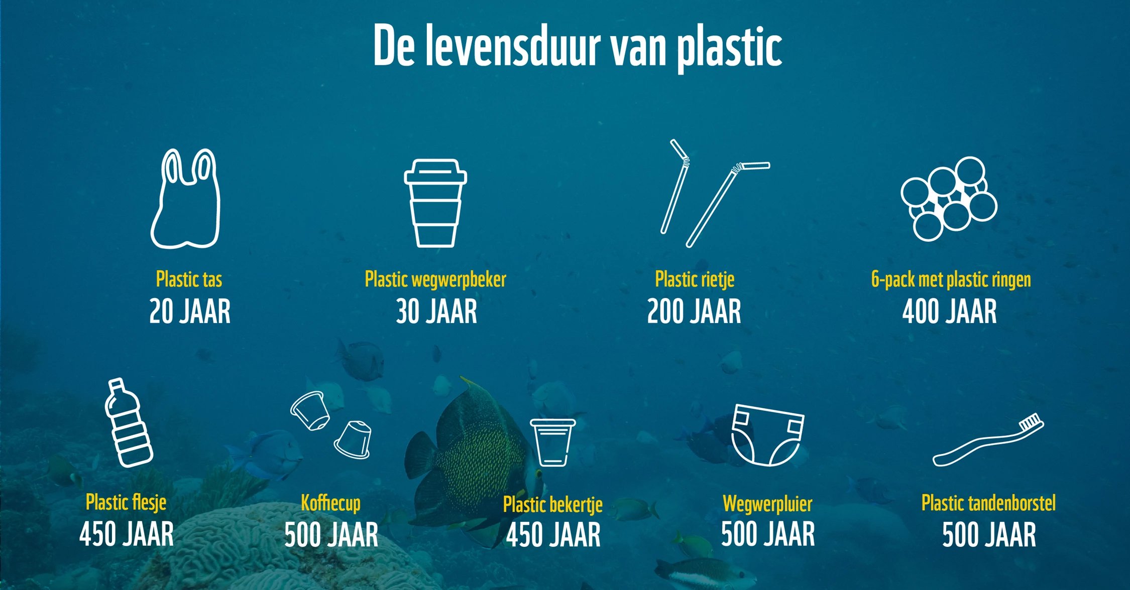 Wat Kun Jij Doen Aan Het Plastic Probleem? | Help Mee! Word Ranger