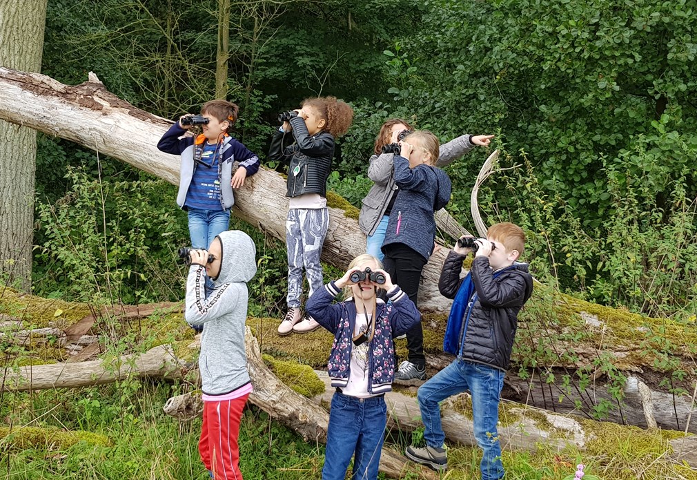 Zes kinderen staan bij een omgevallen boom en kijken door een verrekijker