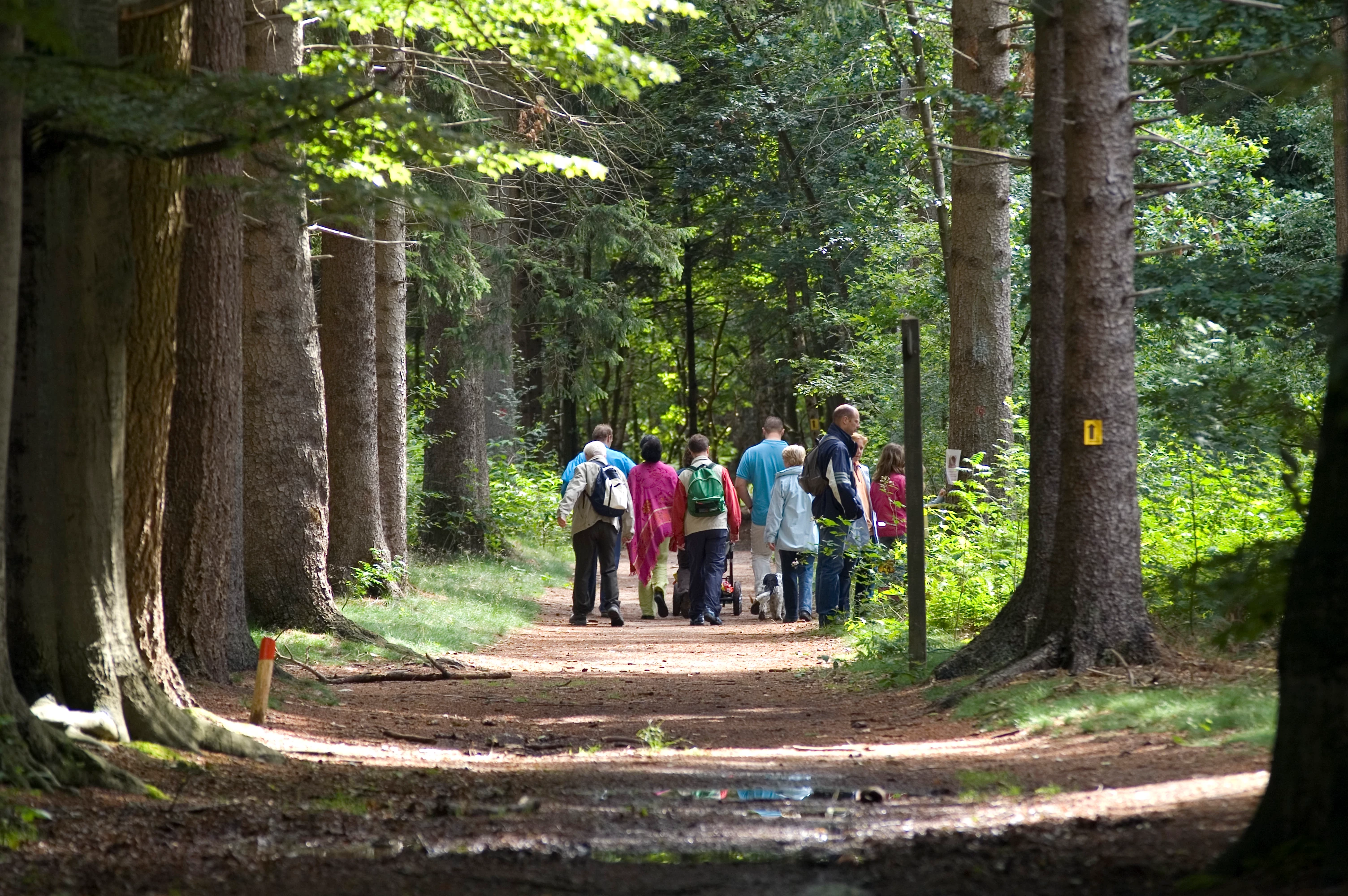 walkathon wandelaars 2.jpg