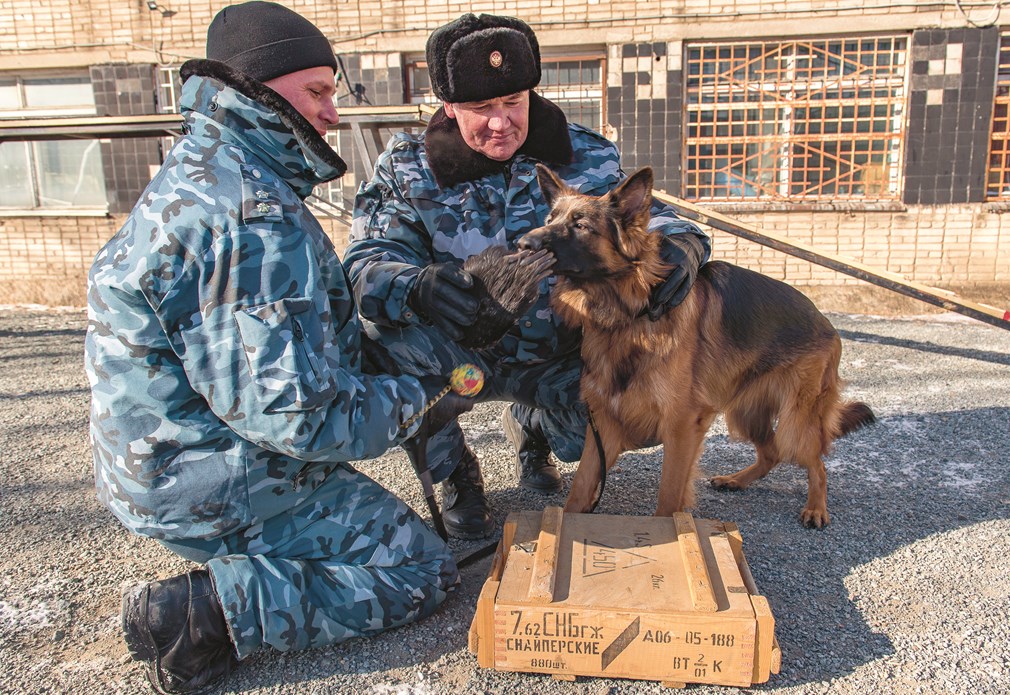 Honden Russische Douane