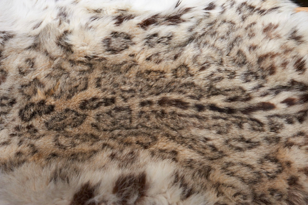 Sneeuwluipaard vacht