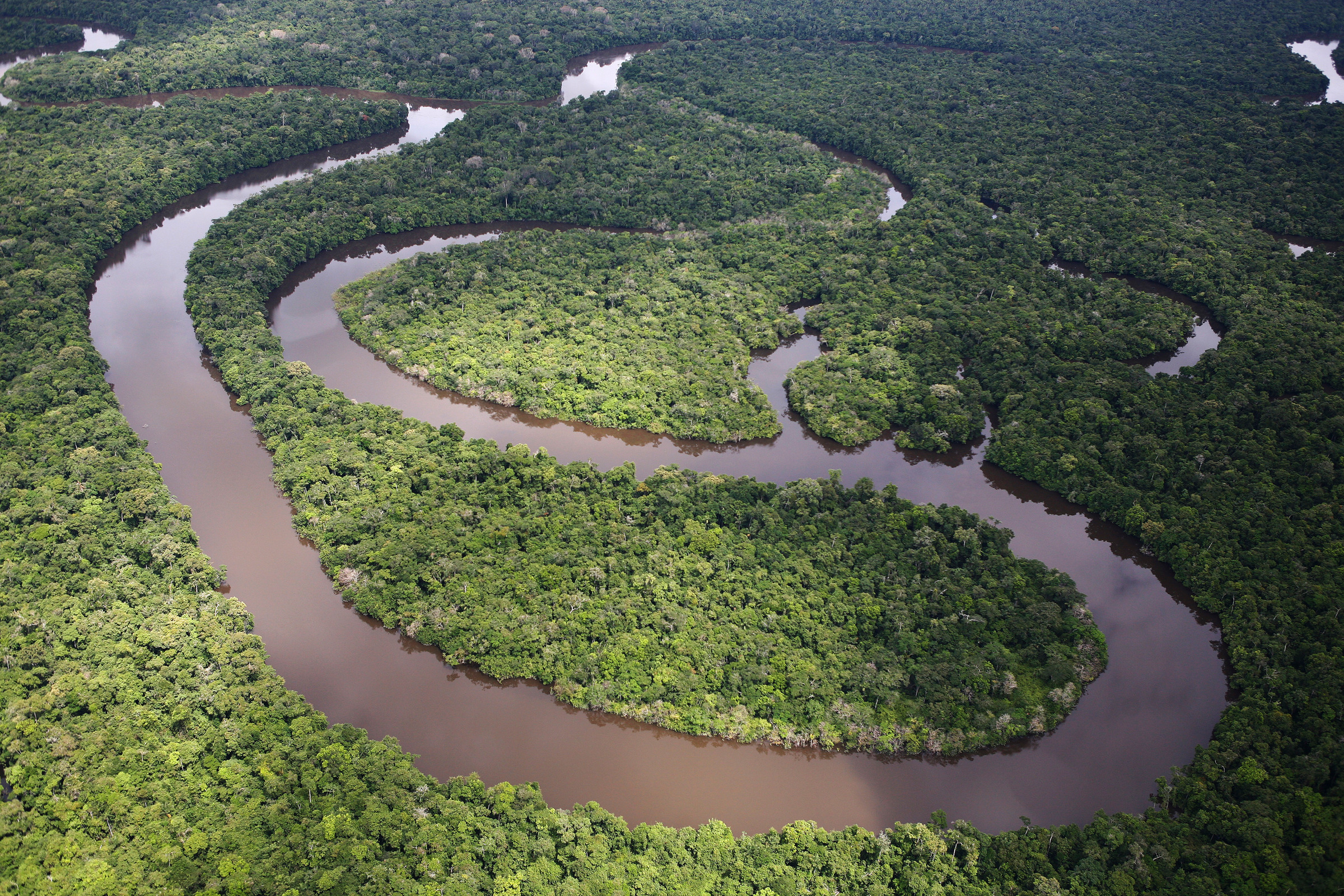  Luchtfoto van een kronkelende rivier in het Amazone regenwoud in Peru