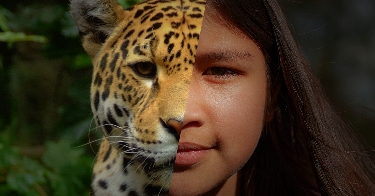 Foto van helft gezicht tijger en helft gezicht meisje