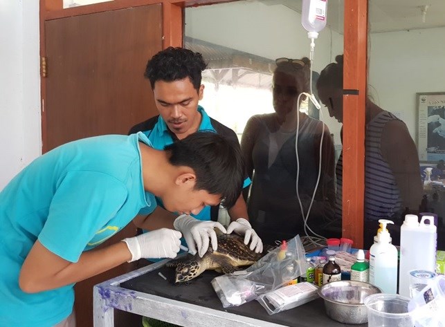 Flying Vet aan het werk