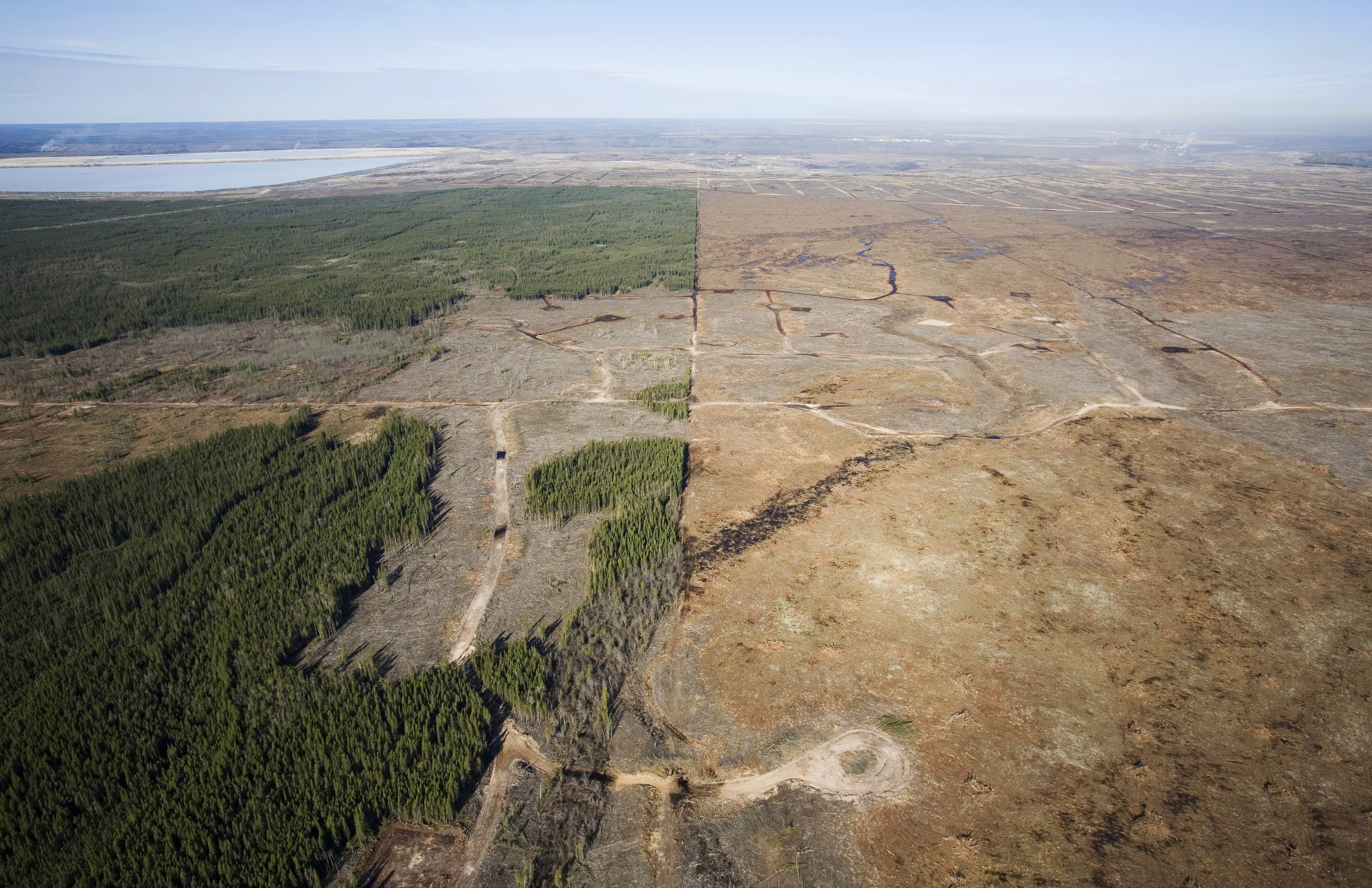 Luchtfoto van de ontbossing schade