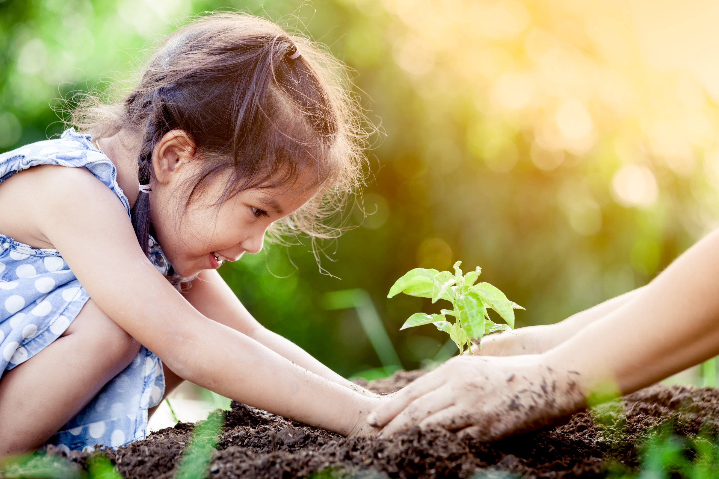 Meisje en ouder die jonge boom op zwarte grond samen planten
